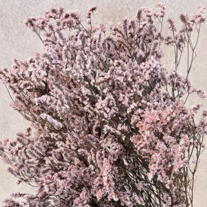 Limonium Diamond, Pale Dusky Pink, Preserved (Sea Lavender) up to 70cm