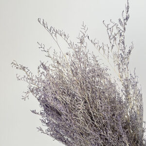 Limonium Caspia, Pale Lilac, Preserved (Sea Lavender) up to 65cm