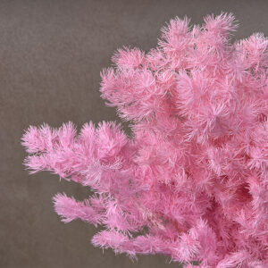Ming Ferns, Pink, Preserved (Asparagus Myriocladus) 45cm