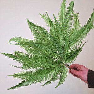 Mountain Ferns, Green, Preserved (Earth Matters®)