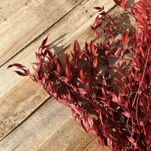 Heavenly Bamboo, Dark Red, Preserved (Nandina) up to 95cm