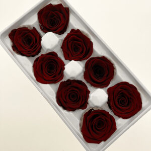 Roses, Burgundy Dark Red, Preserved, x8 blooms, 5cm (Every Love®)