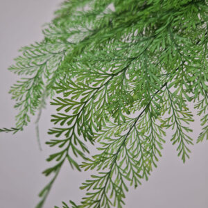 Tabalia Ferns, Fresh Green, Preserved (Earth Matters®) 35cm
