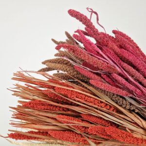 Millet