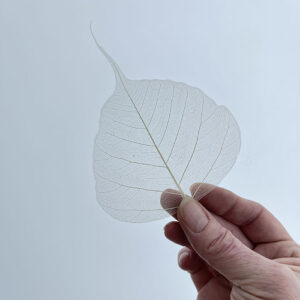 Skeleton Leaves, Natural White (x100 pieces)