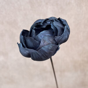 Sola Wood Flowers, Peony on Stem, Black, 60cm Bloom 8cm