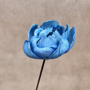 Sola Wood Flowers, Peony on Stem, Sky Blue, 60cm Bloom 8cm