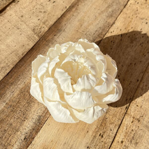 Sola Wood Flowers, Peony, White, 10cm