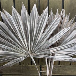Sun Palms, Metallic Pale Rose Gold, Dried, 30-50cm
