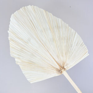 Palm Leaf, White, Dried, Extra Large, 80cm
