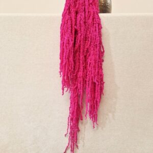 Amaranthus caudatus, Hot Cerise, Preserved (Cascading) up to 110cm