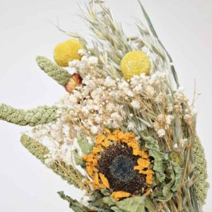 Summer Flowers