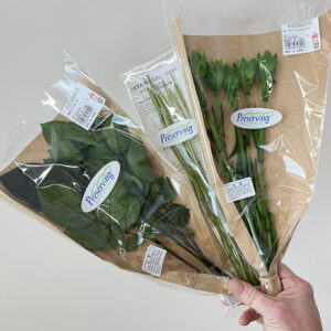 Stems