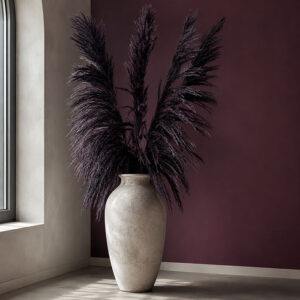 Pampas Grass Sacuara, Deep Plum, Dried, 115cm Plume 80cm