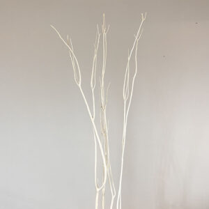 Mitsumata Sticks, Dried, White, 115cm