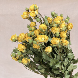 Spray Roses, Natural Bright Yellow, Dried, 70cm