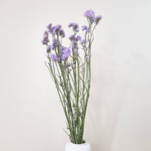 Statice sinuata, Natural Pastel Lavender, Dried, 70cm
