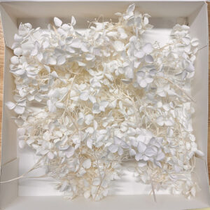Hydrangeas, Preserved Florets up to 10cm, Creamy White