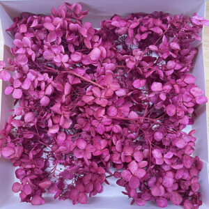 Hydrangea, Preserved Florets up to 10cm – Deep Fuchsia Pink