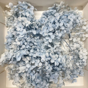 Hydrangeas, Preserved Florets up to 10cm – Pale Blue
