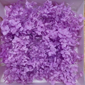 Hydrangeas, Preserved Florets up to 10cm – Pastel Violet