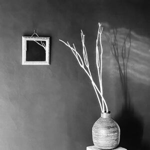 Mitsumata Branches, Dried, White, 115cm