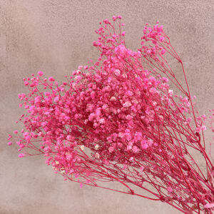 Gypsophila, Bright Pink, Preserved (Baby’s Breath) 70cm