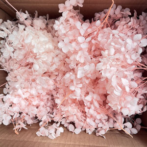 Hydrangea Preserved Florets, Pale Pink ~ BULK BUY
