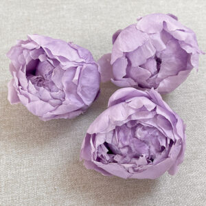 Peony, Soft Lilac, Preserved, x3 blooms, 4-6cm (Verdissimo®)
