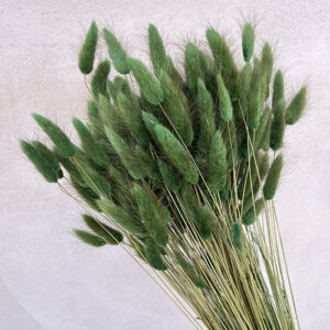Lagurus Grass, Forest Greens, Dried (Bunny Tails) 50-70cm 100g