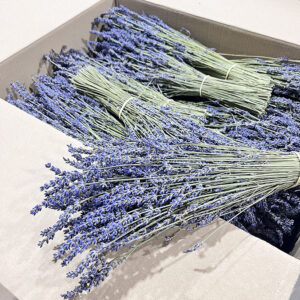 Lavender Dried Bunch, Natural Lavender Blue, 100g 50cm ~ BOX DEAL