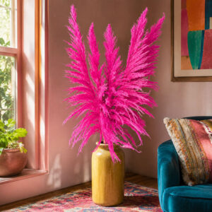 Pampas Grass Sacuara, Cerise Pink, Dried, 115cm Plume 90cm