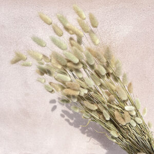 Dried Bunny Tails, Natural, 50-80cm ~ Organically Grown