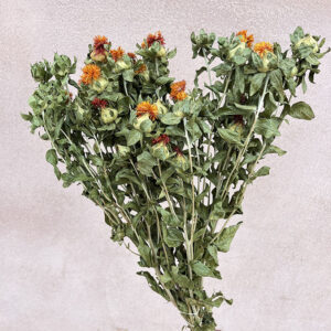 Carthamus Flowers, Natural Orange, Dried (Saff Flower) 70cm