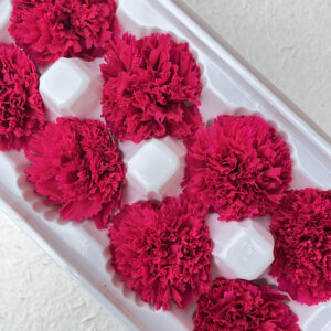 Carnations, Deep Cerise, Preserved, x8 blooms, 5-6cm