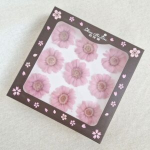 Gerbera Daisies, Pale Pink, Preserved, 4-5cm
