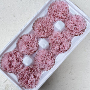 Carnations, Pink Pearl, Preserved, x8 blooms, 5-6cm