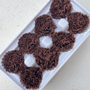 Carnations, Dark Brown, Preserved, x8 blooms, 5-6cm