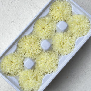 Carnations, Pale Yellow, Preserved, x8 blooms, 5-6cm