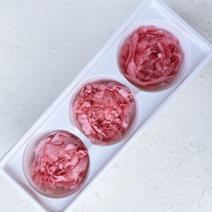 Peony, Pink, Preserved, x3 blooms, 7-8cm (Every Love®)