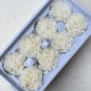 Carnations, Soft White, Preserved, x8 blooms, 5-6cm