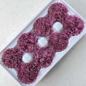 Carnations, Plum Purple, Preserved, x8 blooms, 5-6cm