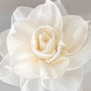 Sola Wood Flowers, Dahlia, White, 8cm