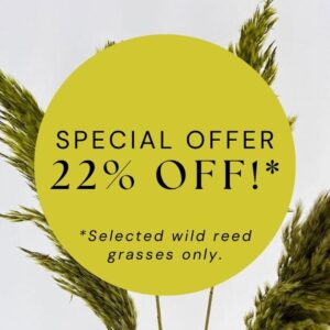 Up To 22% Off Selected Wild Reed Grass
