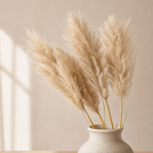 Pampas Grass Evita, Natural, Dried, 95cm Plume 40cm