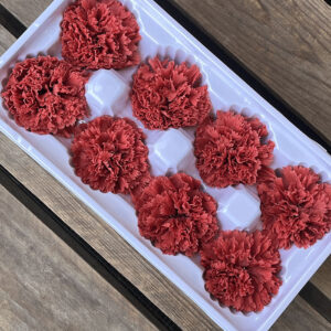 Carnations, Dusky Red, Preserved, x8 blooms, 5-6cm