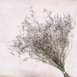 Limonium Maritima, Natural Shades, Dried, 50-70cm