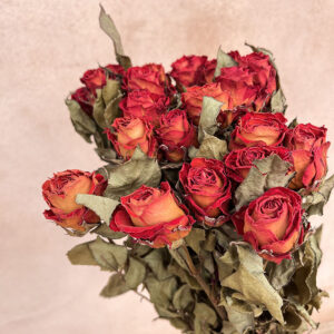 Roses, Natural Burnt Orange, Dried, 45cm