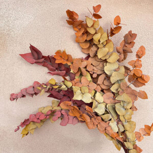 Eucalyptus Stuartiana, Autumn Mix, Preserved, up to 70cm