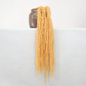 Amaranthus caudatus, Gold, Preserved (Cascading) up to 110cm